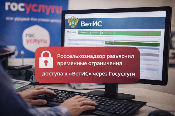 изображение сделано с помощью https://chatgpt.com