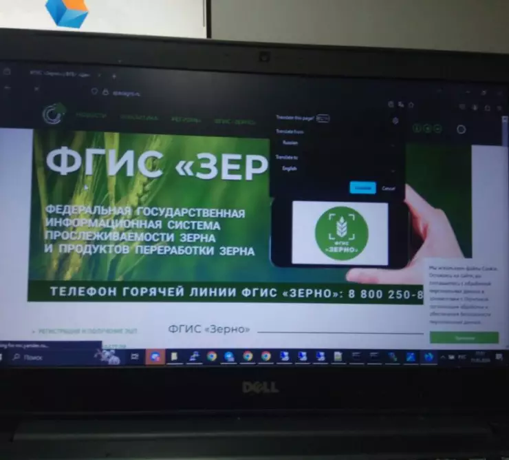 зерно фас 1024x768 7