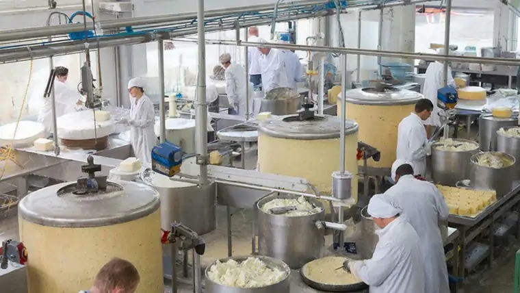 фото сделано с помощью gigachat_bot