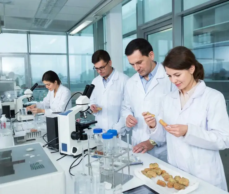 фото сделано с помощью gigachat_bot