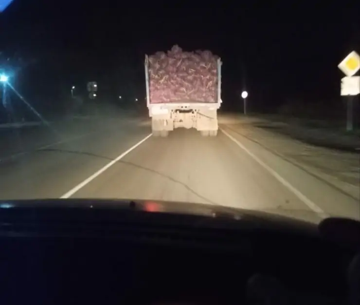 5289634400263933700 771x1024 1