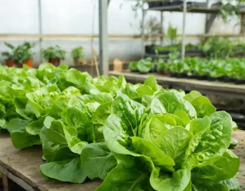 фото сделано с помощью gigachat_bot