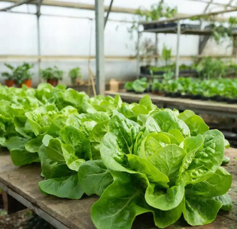 фото сделано с помощью gigachat_bot