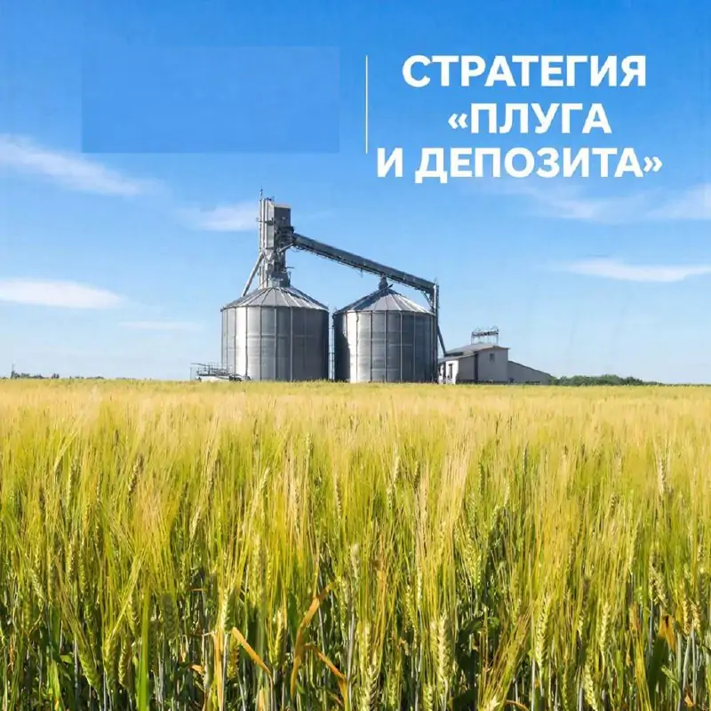 изображение сделано с помощью chatgpt