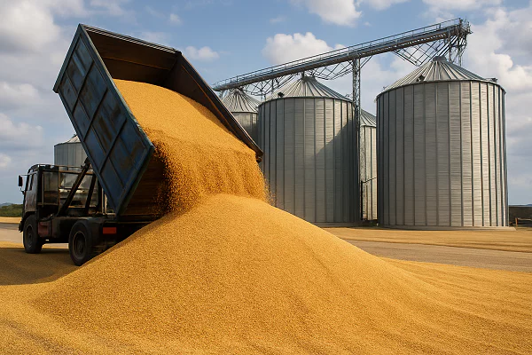 изображение сделано с помощью chatgpt