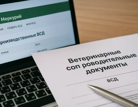 изображение сделано с помощью chatgpt