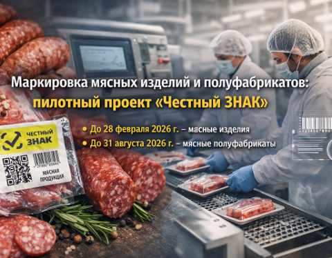 изображение сделано с помощью chatgpt