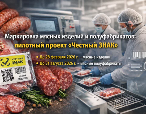 изображение сделано с помощью chatgpt