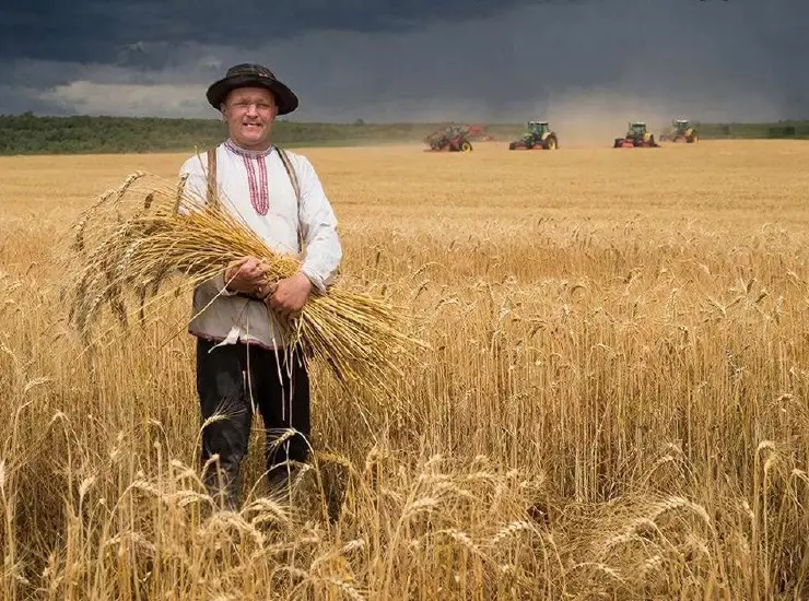 фото сделано с помощью gigachat_bot