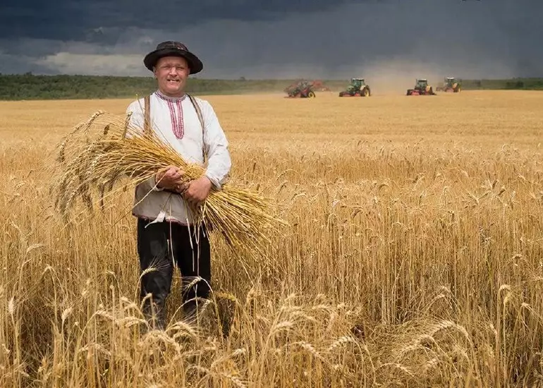 фото сделано с помощью gigachat_bot