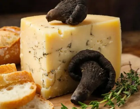 фото сделано с помощью gigachat_bot