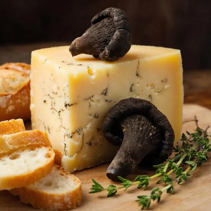 фото сделано с помощью gigachat_bot