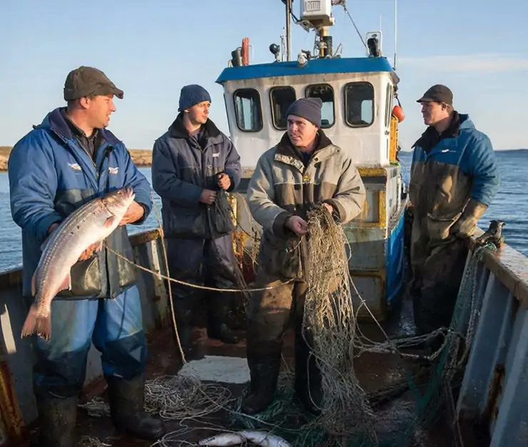 фото сделано с помощью gigachat_bot