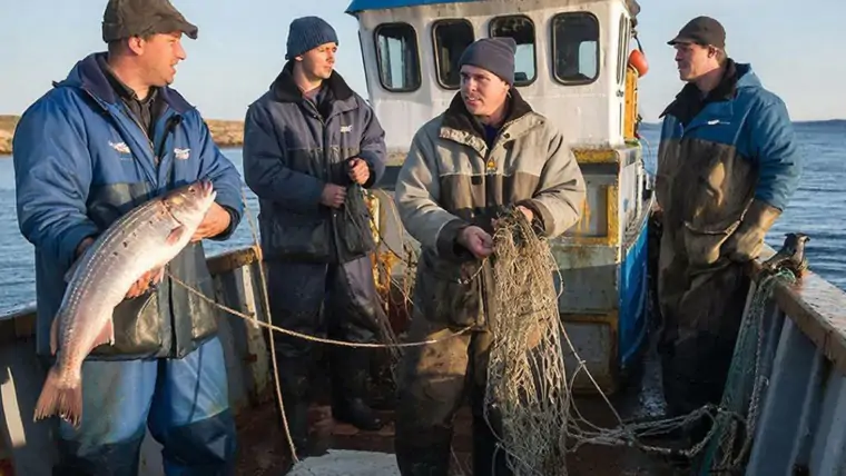 фото сделано с помощью gigachat_bot