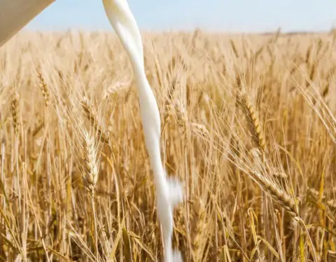 фото сделано с помощью gigachat_bot