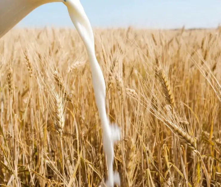 фото сделано с помощью gigachat_bot