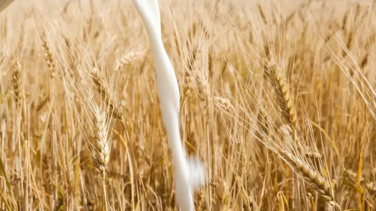 фото сделано с помощью gigachat_bot