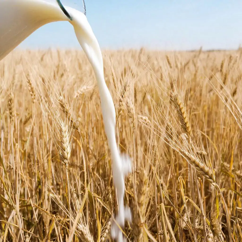 фото сделано с помощью gigachat_bot