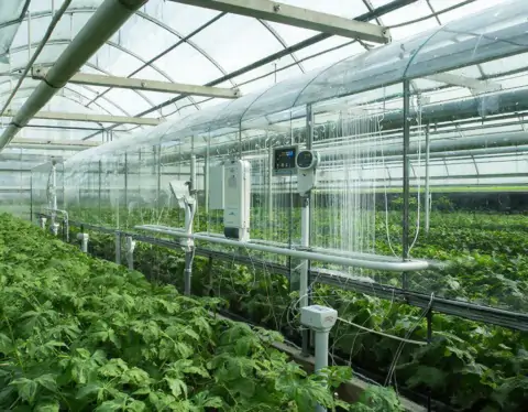 фото сделано с помощью gigachat_bot