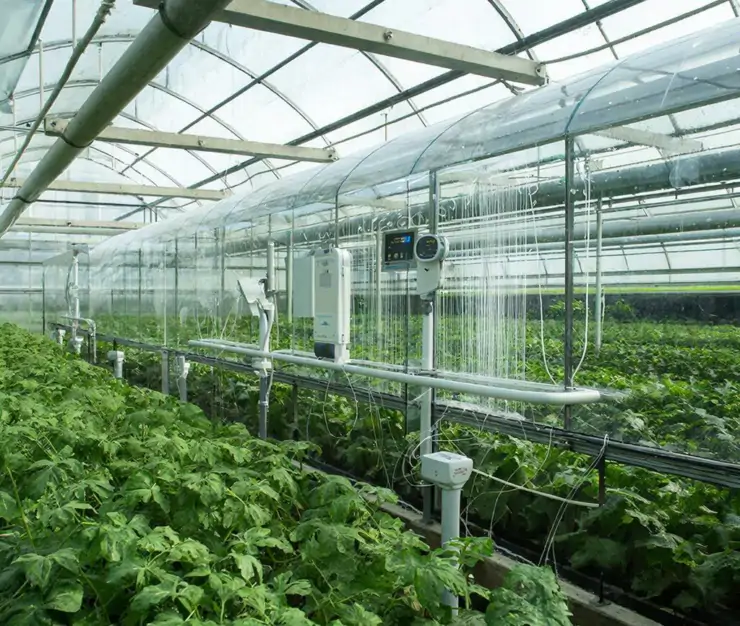 фото сделано с помощью gigachat_bot