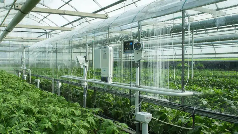 фото сделано с помощью gigachat_bot