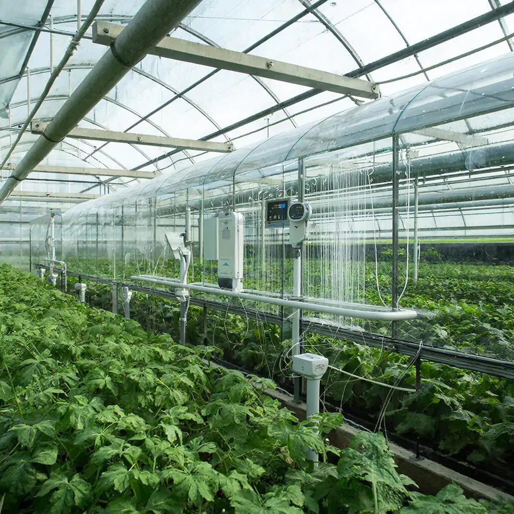 фото сделано с помощью gigachat_bot