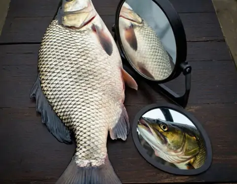 фото сделано с помощью gigachat_bot