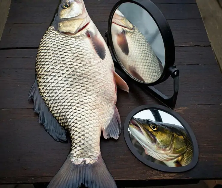 фото сделано с помощью gigachat_bot