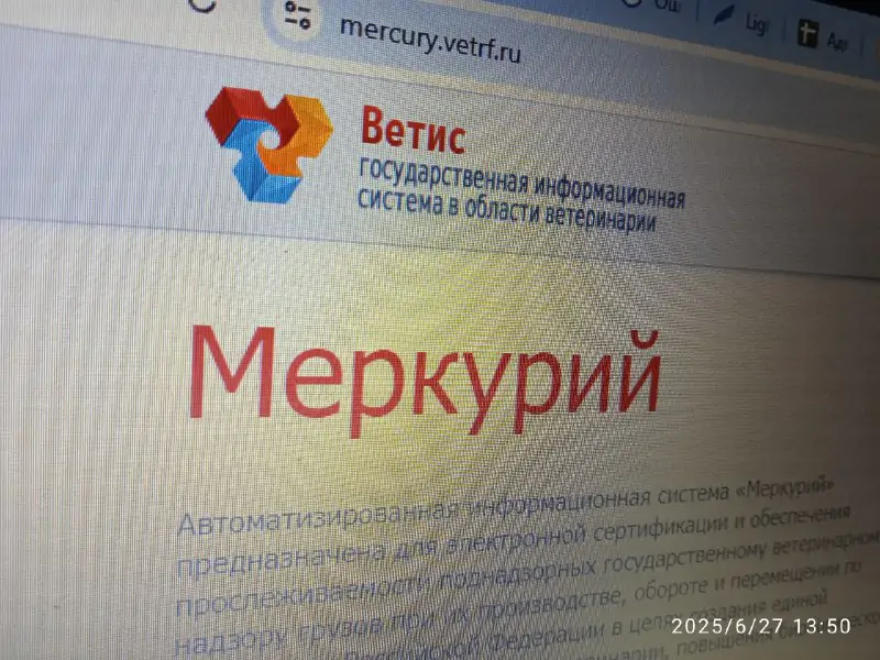 5409150317767033105 9