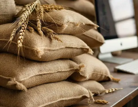 фото сделано с помощью gigachat_bot