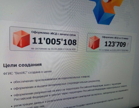 эвсд ошибки 4