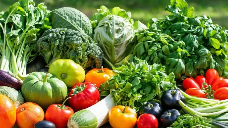 фото сделано с помощью gigachat_bot