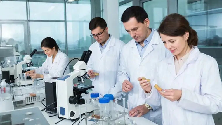 изображение сделано с помощью chatgpt