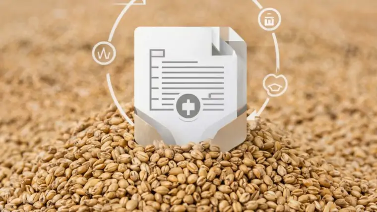 изображение сделано с помощью chatgpt