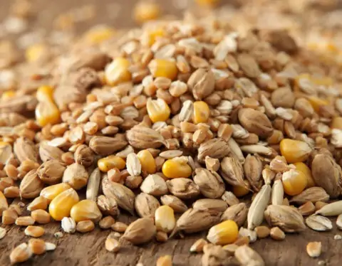 фото сделано с помощью gigachat_bot