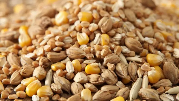 фото сделано с помощью gigachat_bot