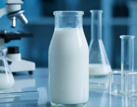 фото сделано с помощью gigachat_bot