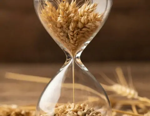 изображение сделано с помощью chatgpt