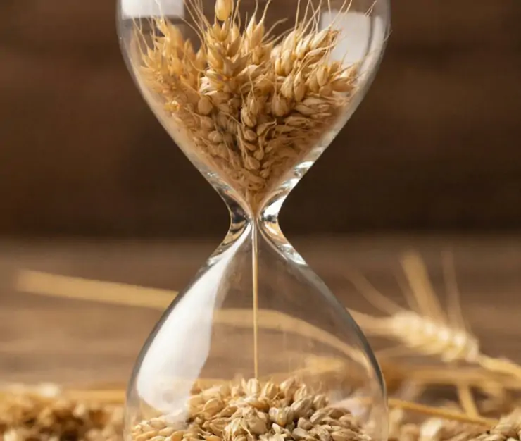 изображение сделано с помощью chatgpt