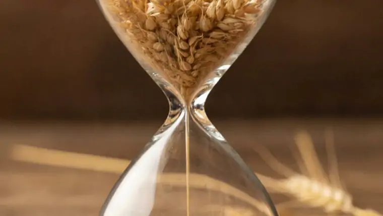 изображение сделано с помощью chatgpt