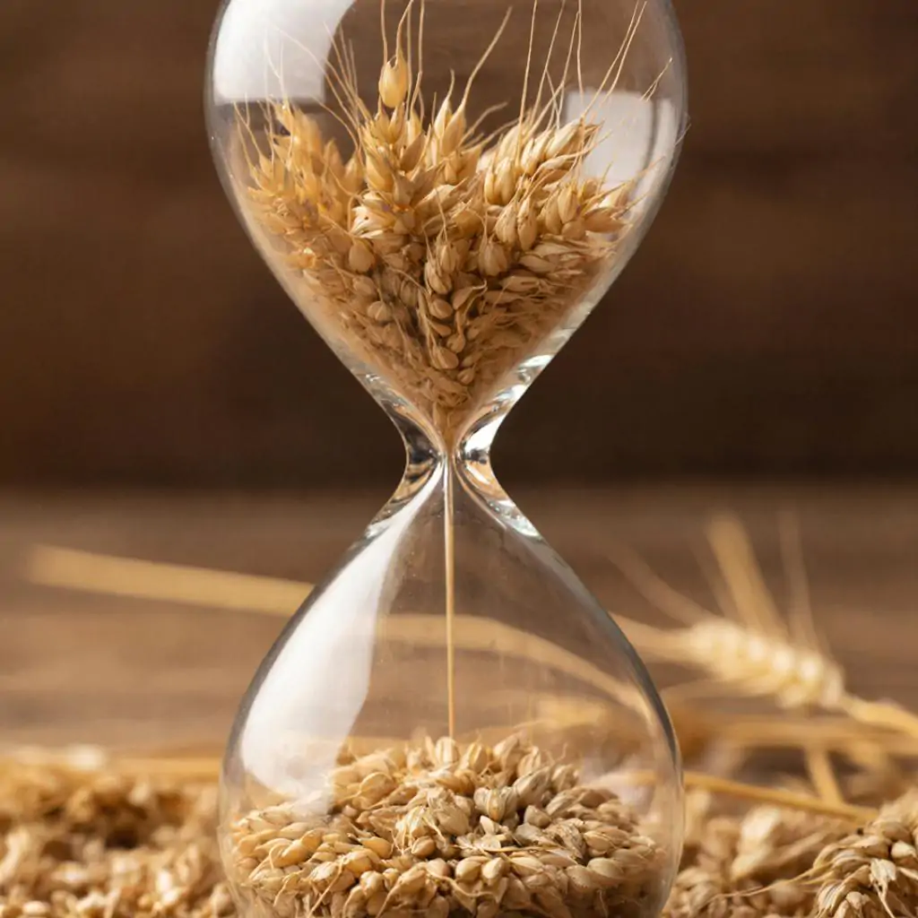 изображение сделано с помощью chatgpt