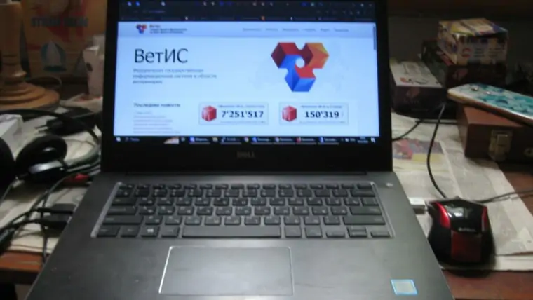 5456118370719094235 1024x768 1