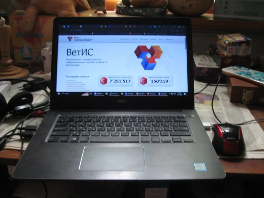 5456118370719094235 1024x768 1