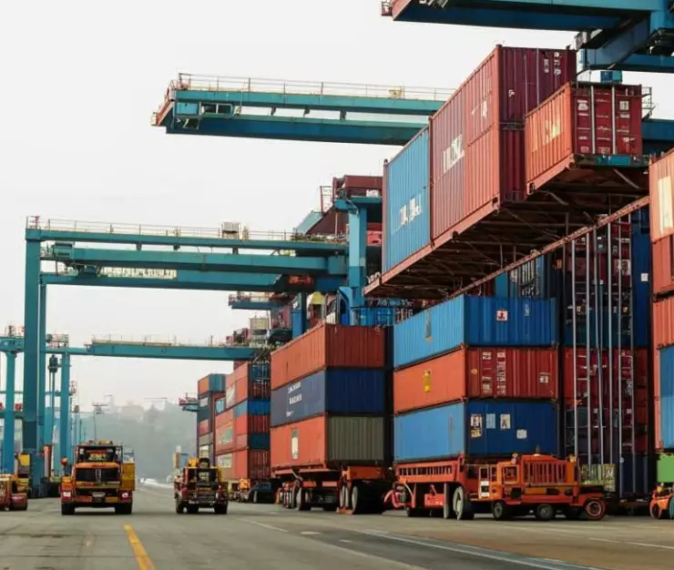 фото сделано с помощью gigachat_bot