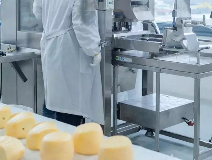 фото сделано с помощью gigachat_bot