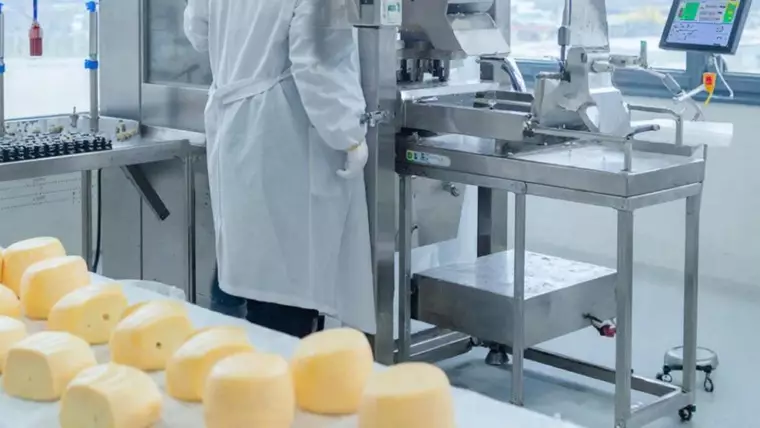 фото сделано с помощью gigachat_bot