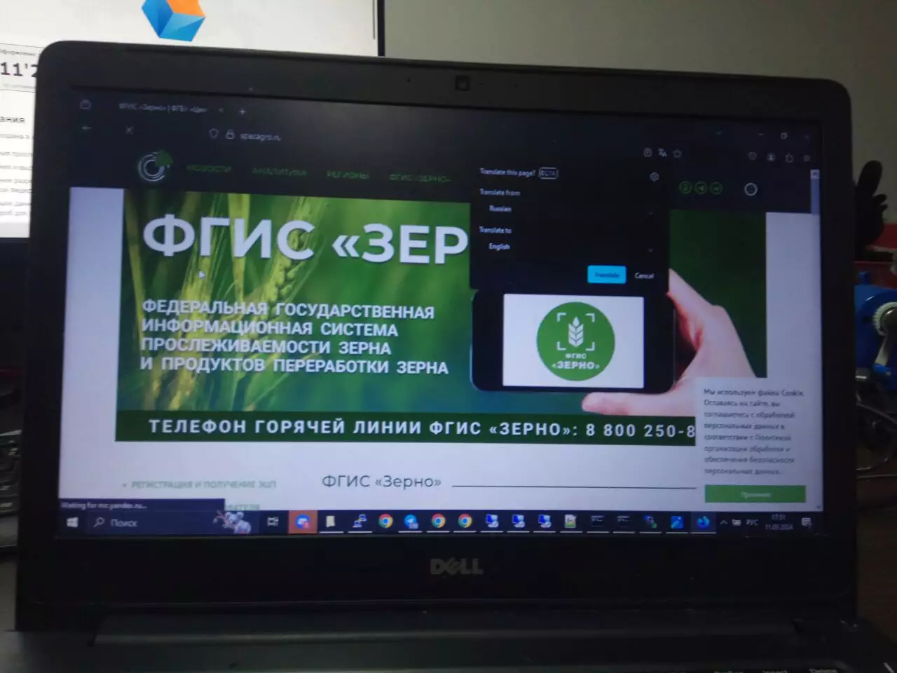 фгис зерно фас