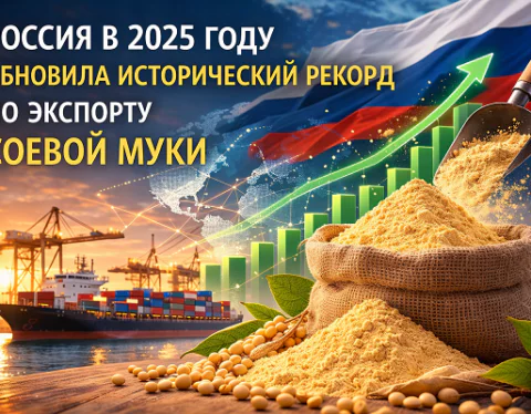 изображение сделано с помощью chatgpt