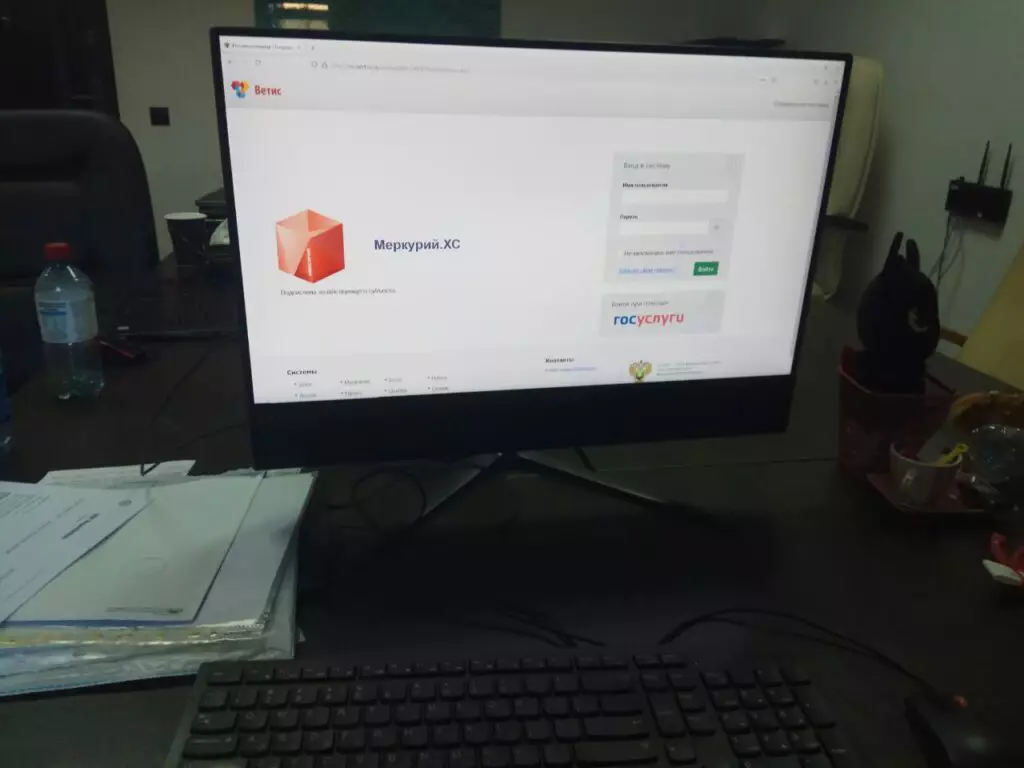 фгис меркурий