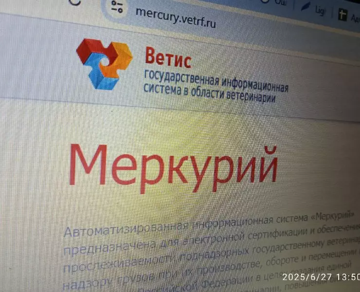 фгис меркурий